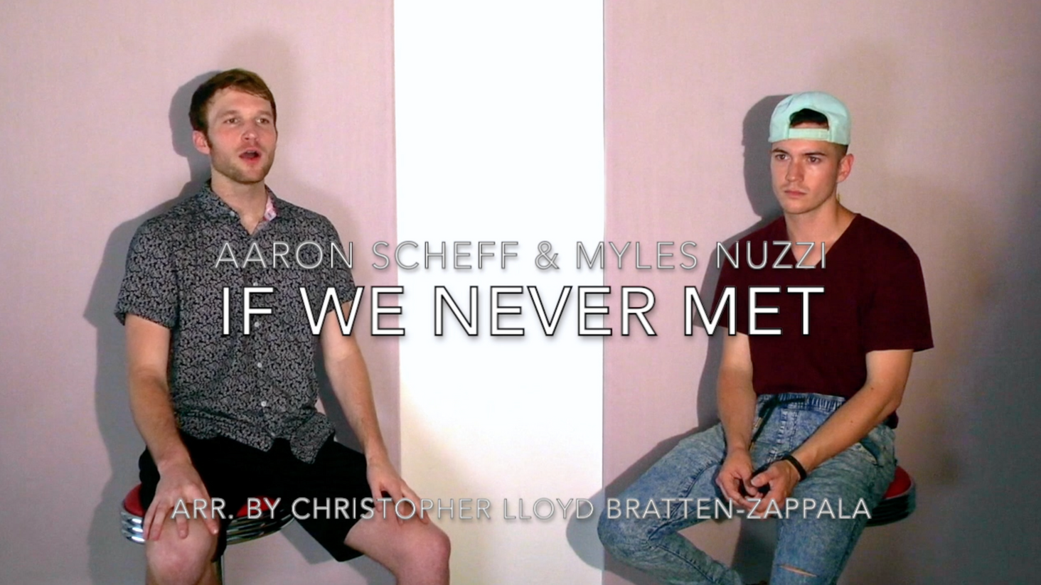 If We Never Met
